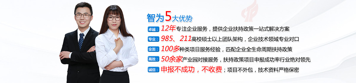 高新技術(shù)企業(yè)認(rèn)定 高新技術(shù)企業(yè)認(rèn)定