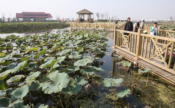 高新企業(yè)申報，相城區(qū)高新企業(yè)申報