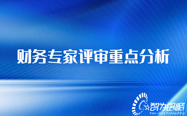 財務(wù)專家評審重點分析.jpg