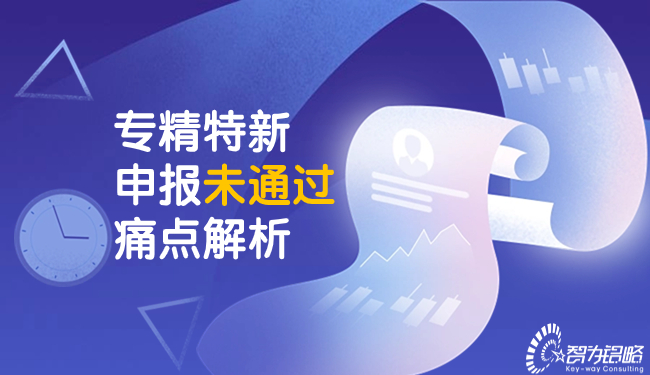 專精特新申報(bào)未通過痛點(diǎn)解析.jpg