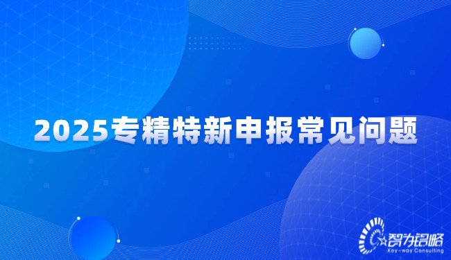2025專精特新申報(bào)常見(jiàn)問(wèn)題.jpg