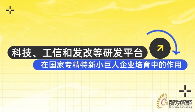 科技、工信和發(fā)改等研發(fā)平臺在國家專精特新小巨人企業(yè)培育中的作用.jpg