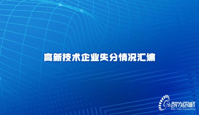 高新技術(shù)企業(yè)失分情況匯編
