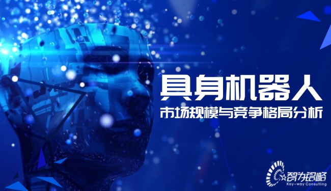 具身機(jī)器人的市場規(guī)模與競爭格局分析