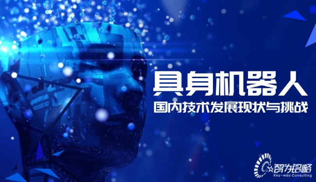 具身機(jī)器人國內(nèi)技術(shù)發(fā)展現(xiàn)狀與挑戰(zhàn)