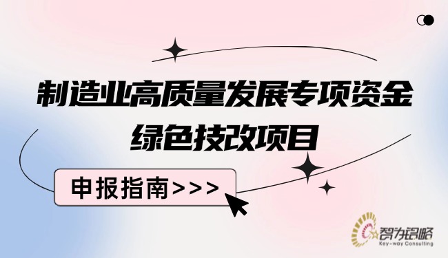 制造業(yè)高質(zhì)量發(fā)展專項資金**技改項目咨詢指南.jpg