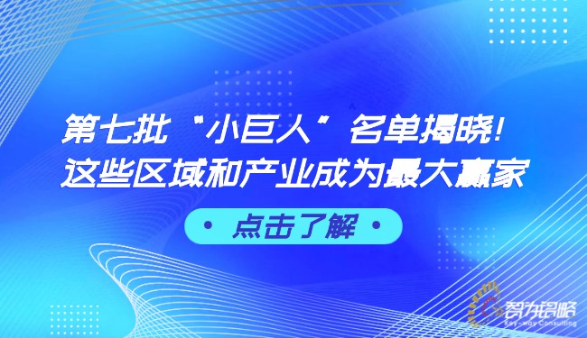 *七批“小巨人”名單揭曉！這些區(qū)域和產(chǎn)業(yè)成為*大贏家.jpg