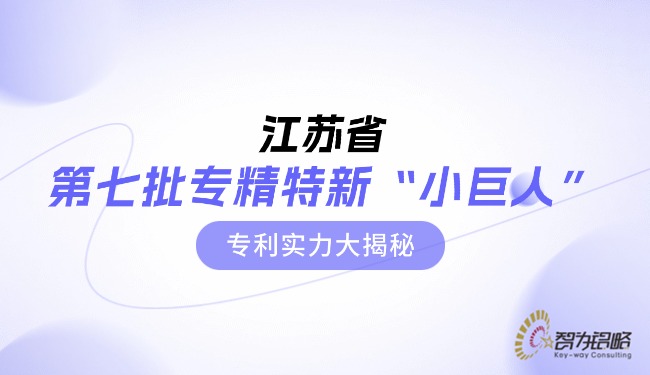 江蘇省*七批專精特新“小巨人”專利實(shí)力大揭秘.jpg