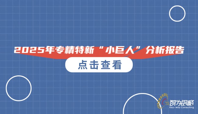 2025年專精特新“小巨人”分析報(bào)告.jpg