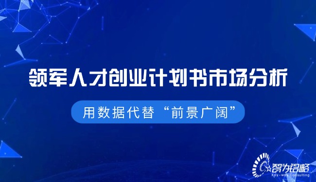 1764819177348260.jpg 領(lǐng)軍人才創(chuàng)業(yè)計劃書市場分析—用數(shù)據(jù)代替“前景廣闊”.jpg