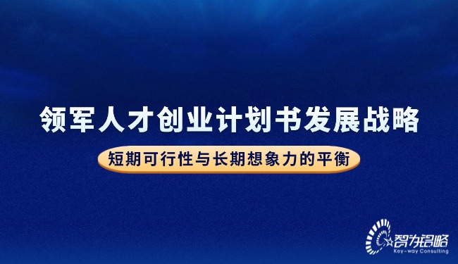領(lǐng)軍人才創(chuàng)業(yè)計劃書發(fā)展戰(zhàn)略—短期可行性與長期想象力的平衡.jpg